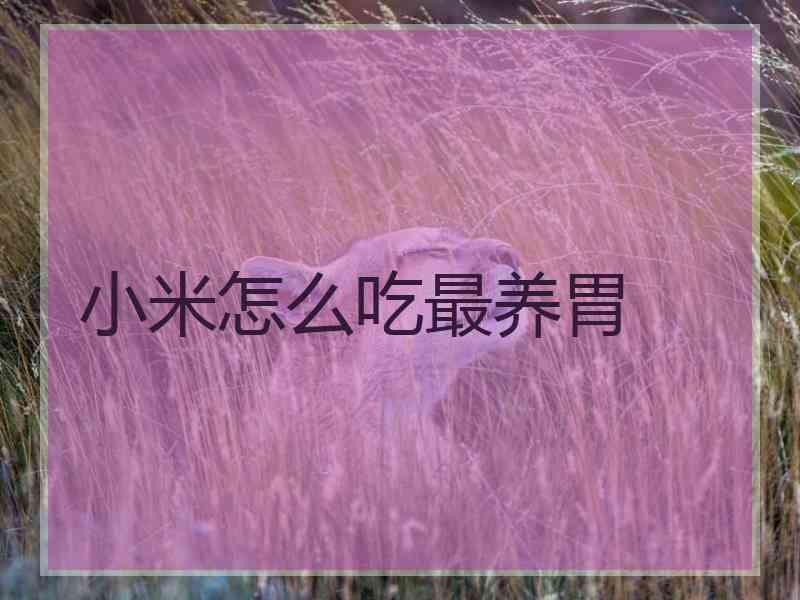 小米怎么吃最养胃