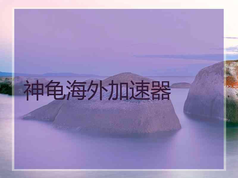 神龟海外加速器
