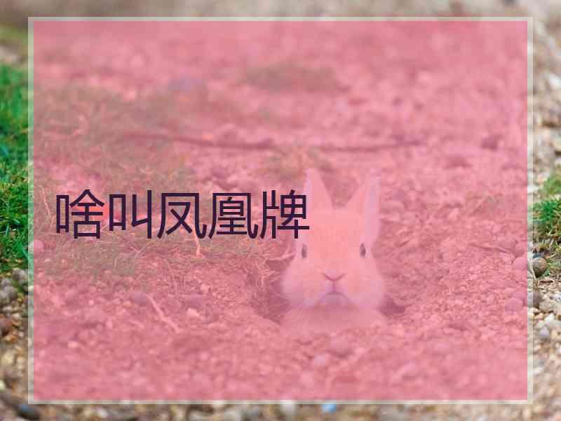 啥叫凤凰牌