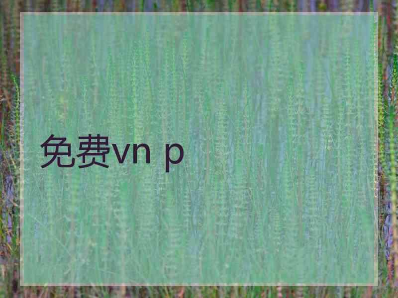 免费vn p