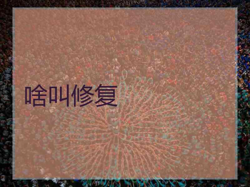 啥叫修复