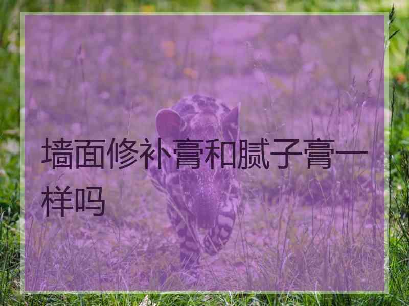 墙面修补膏和腻子膏一样吗