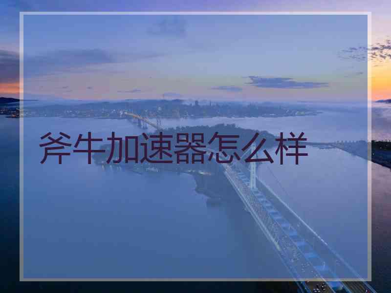 斧牛加速器怎么样