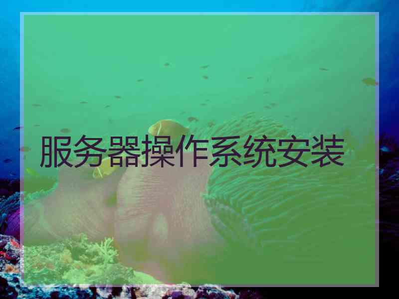 服务器操作系统安装