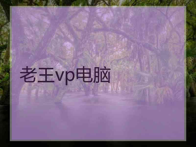 老王vp电脑