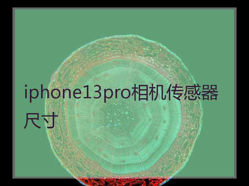 iphone13pro相机传感器尺寸