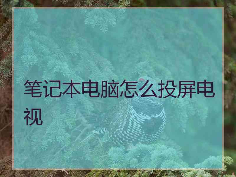 笔记本电脑怎么投屏电视