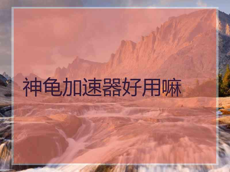 神龟加速器好用嘛