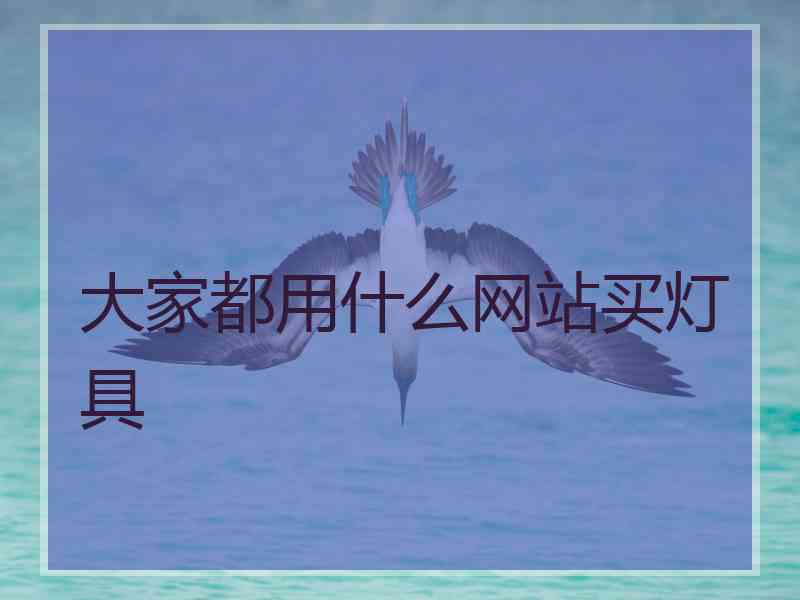 大家都用什么网站买灯具