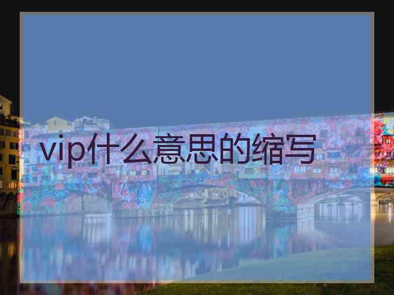 vip什么意思的缩写