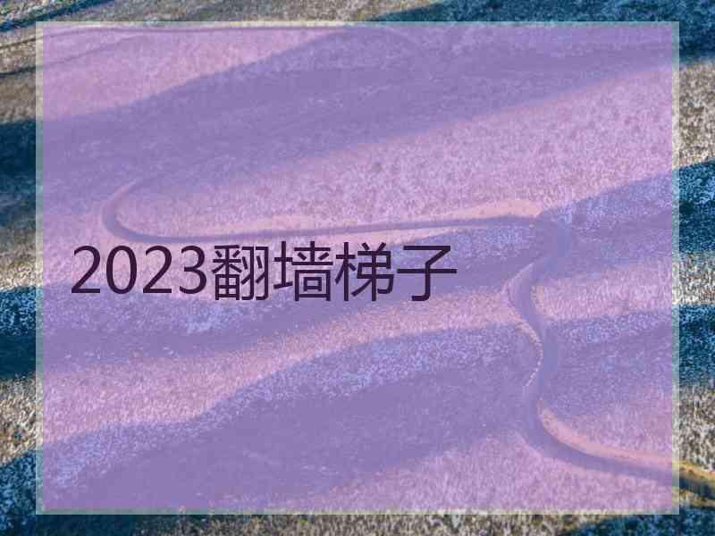 2023翻墙梯子