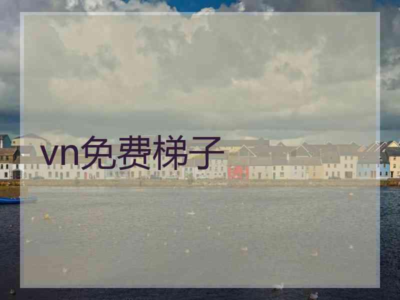 vn免费梯子