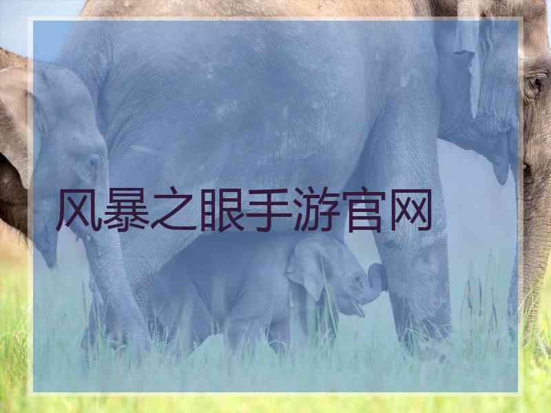 风暴之眼手游官网