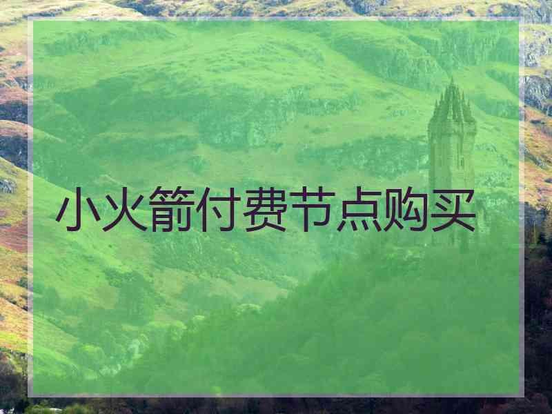小火箭付费节点购买