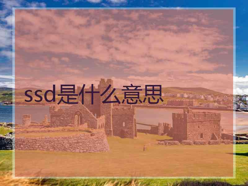 ssd是什么意思