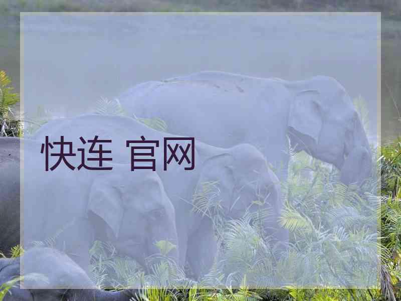 快连 官网