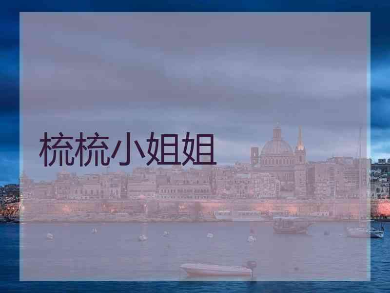 梳梳小姐姐