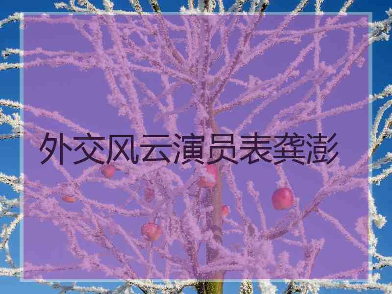 外交风云演员表龚澎