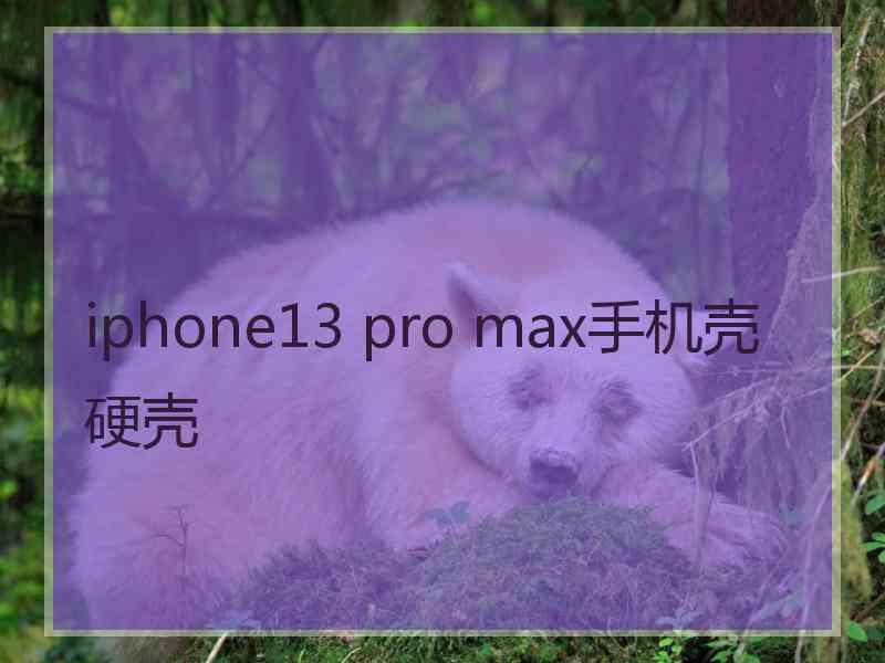 iphone13 pro max手机壳硬壳