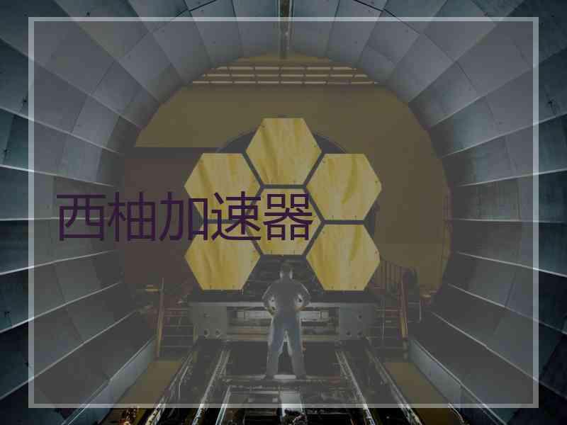西柚加速器