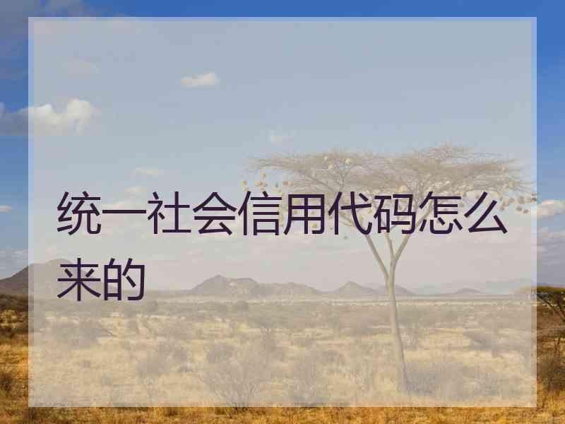 统一社会信用代码怎么来的