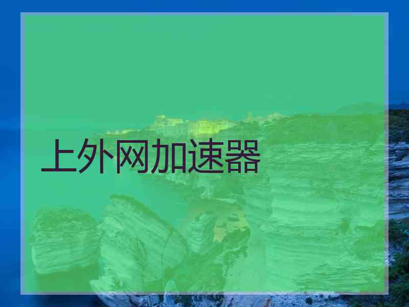 上外网加速器