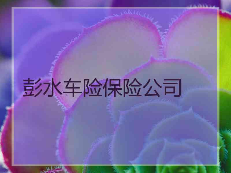 彭水车险保险公司