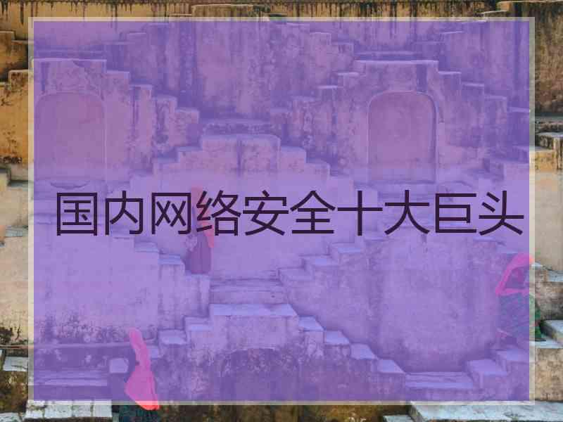 国内网络安全十大巨头