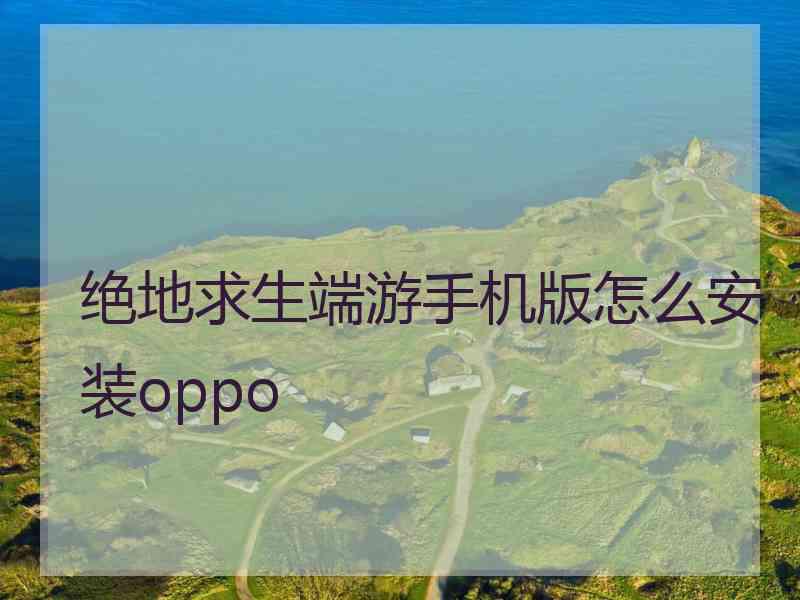 绝地求生端游手机版怎么安装oppo