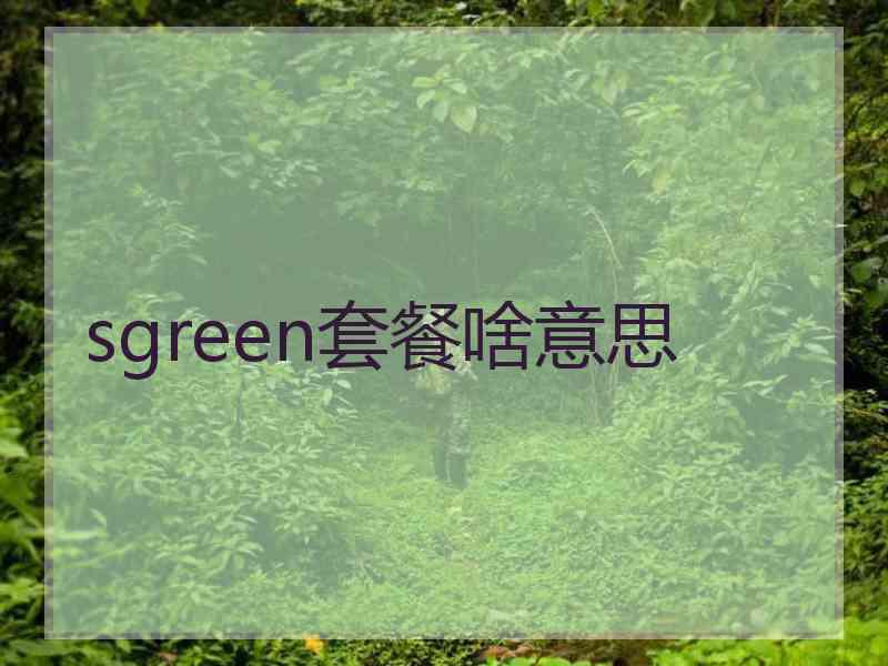 sgreen套餐啥意思