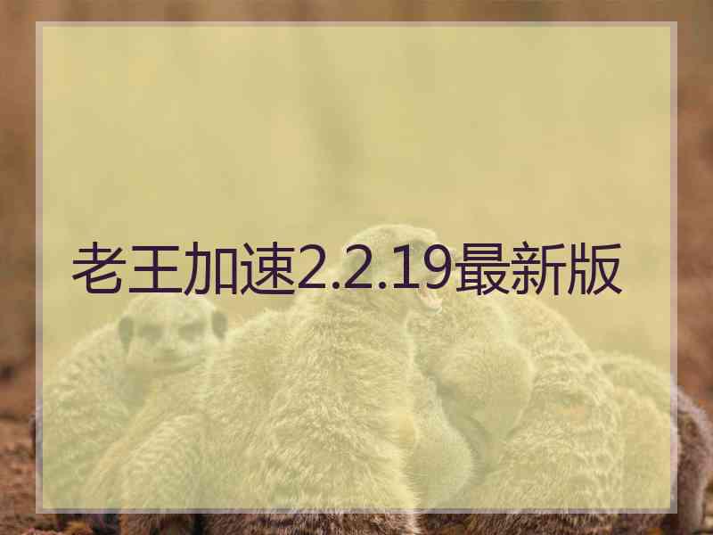 老王加速2.2.19最新版