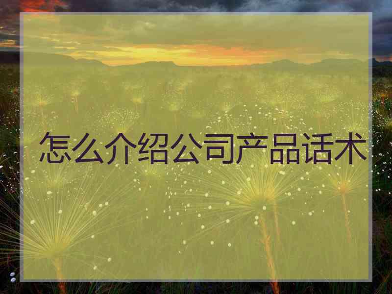 怎么介绍公司产品话术