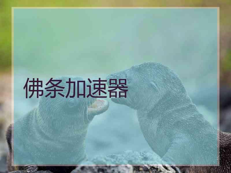 佛条加速器