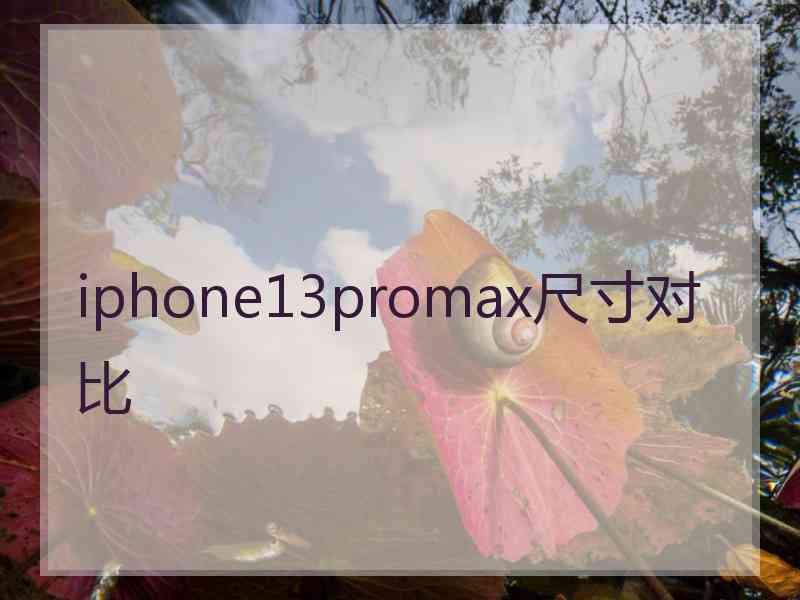 iphone13promax尺寸对比