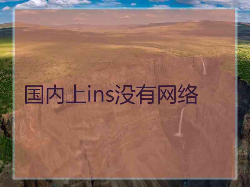 国内上ins没有网络