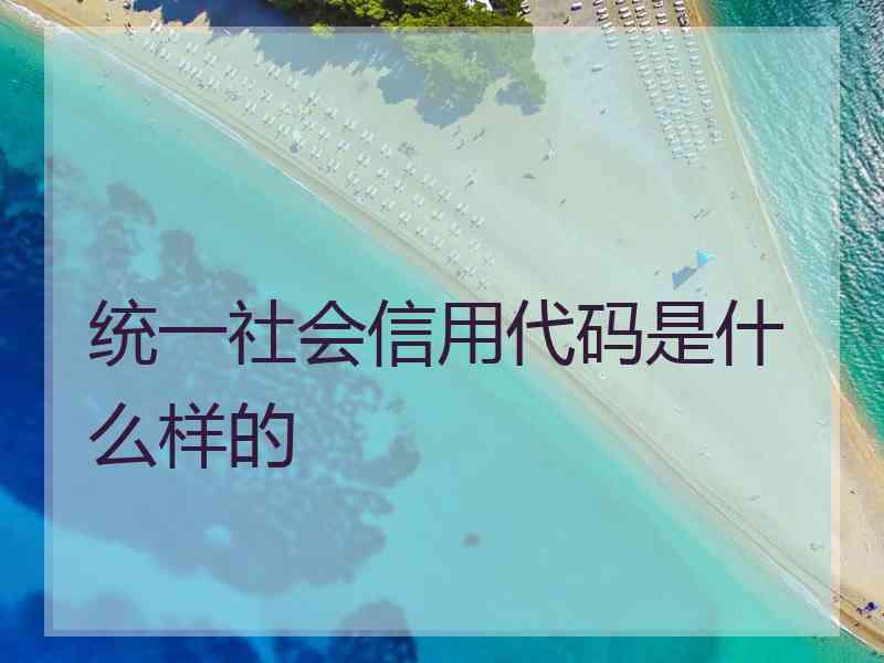 统一社会信用代码是什么样的
