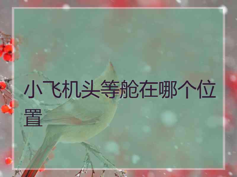 小飞机头等舱在哪个位置