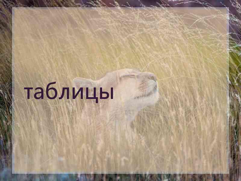 таблицы