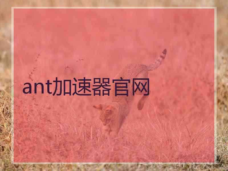 ant加速器官网