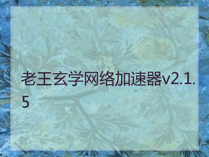 老王玄学网络加速器v2.1.5