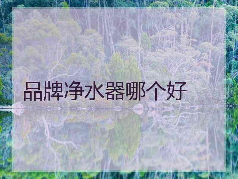 品牌净水器哪个好