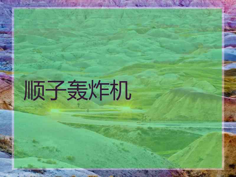 顺子轰炸机
