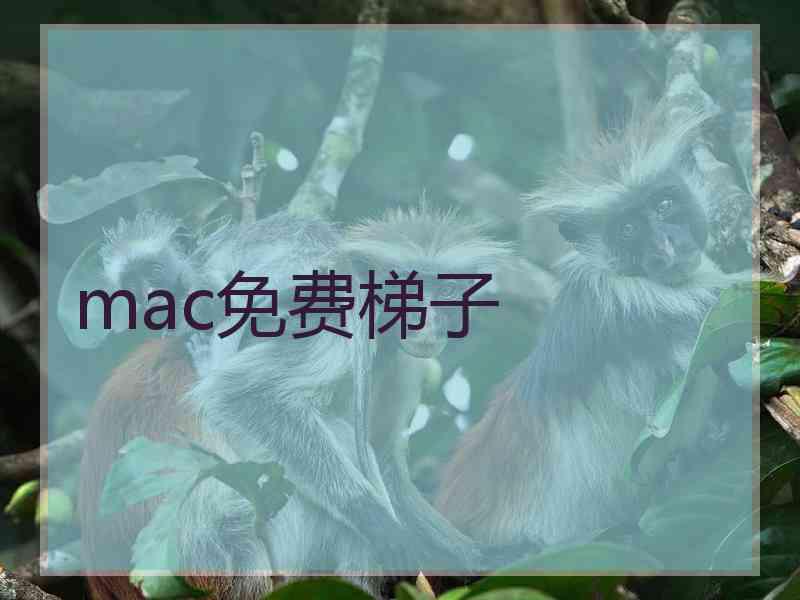 mac免费梯子