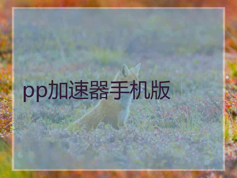 pp加速器手机版