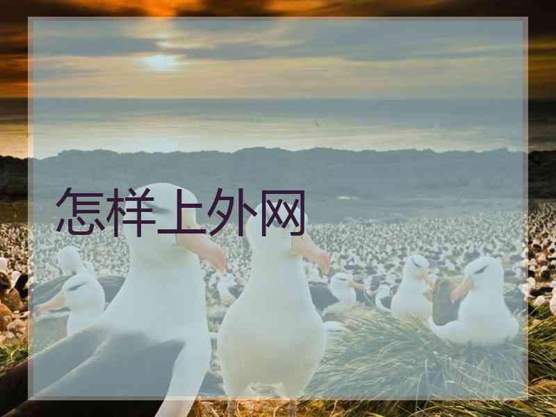 怎样上外网