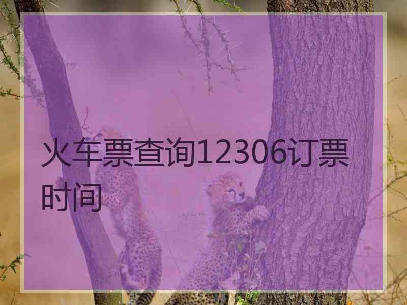 火车票查询12306订票时间