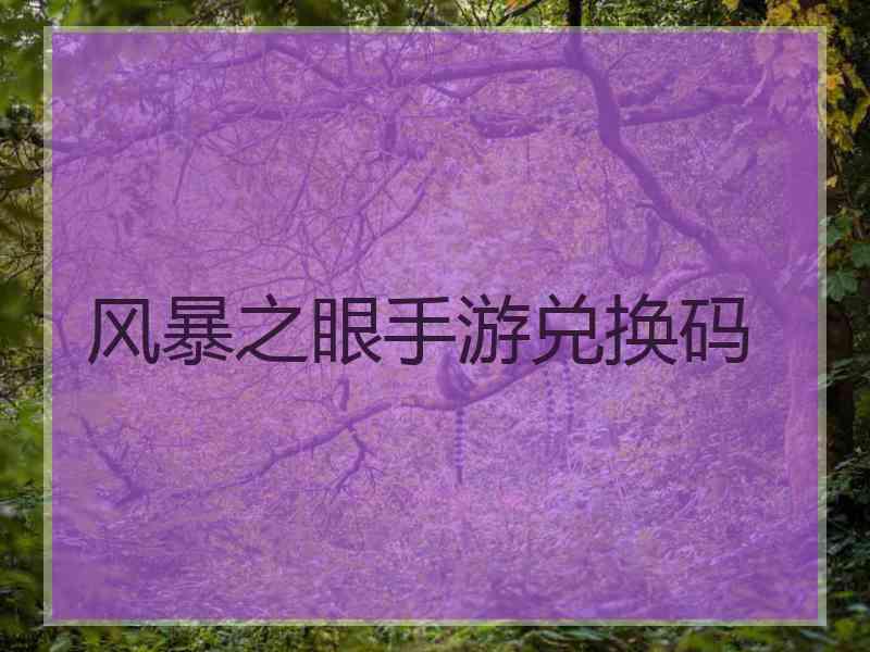 风暴之眼手游兑换码