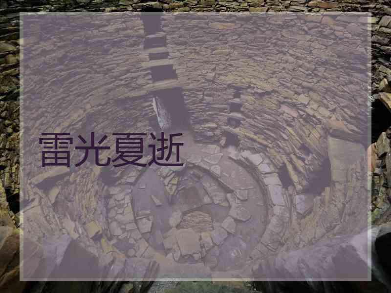 雷光夏逝
