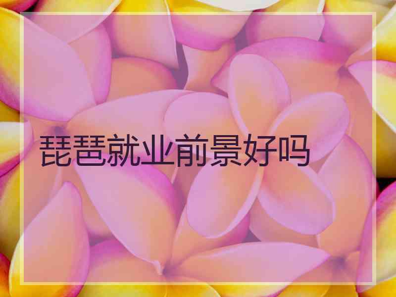 琵琶就业前景好吗