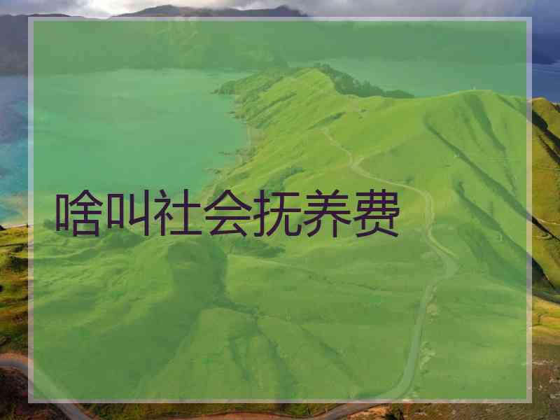 啥叫社会抚养费
